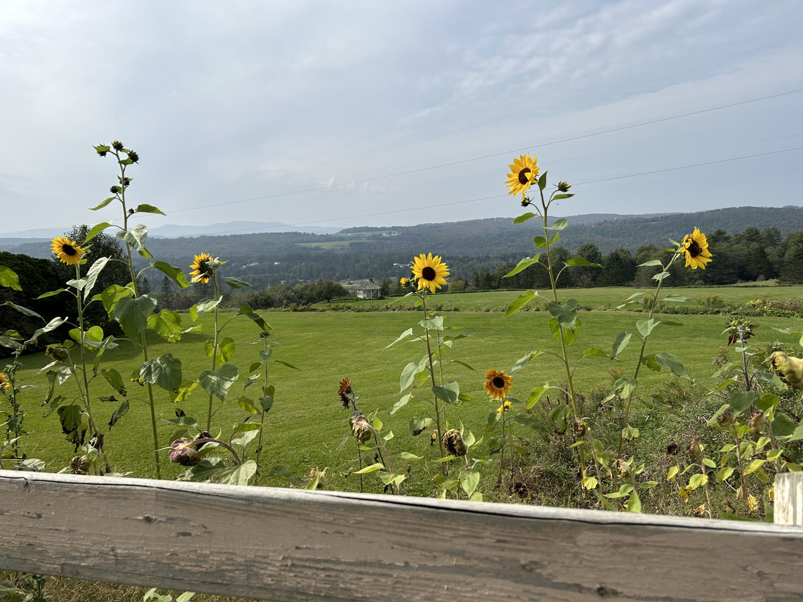 Mountain biking in Vermont packing guide